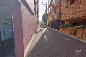 敷地南西側の前面道路（北西側から）