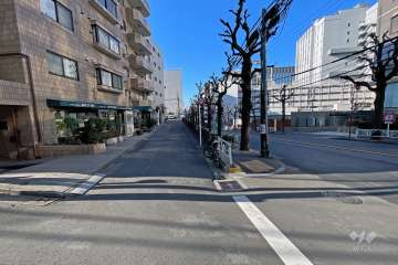 敷地北西側前面道路は八幡通り沿いにあります。