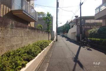 敷地西側の前面道路（北側から）