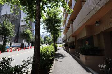 敷地東側の前面道路（北側から）