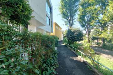 敷地北西側の前面道路（北東側から）