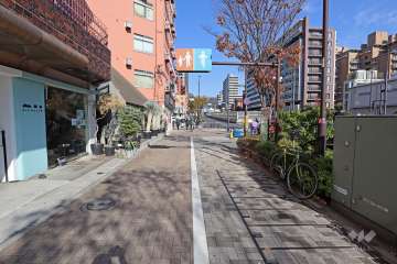 敷地東側の前面道路