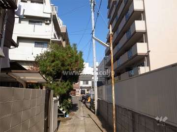 敷地西側の通路