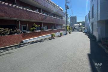 敷地南側の前面道路（西側から）