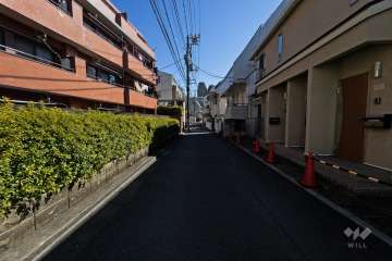 敷地南西側の前面道路（北西側から）