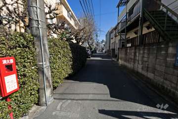 敷地南西側の前面道路（北東側から）