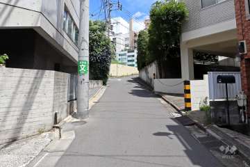 前面道路（南西側から）