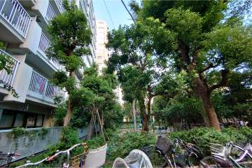 敷地南東側の前面道路（南西側から）