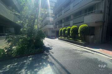 敷地西側の前面道路（北側から）