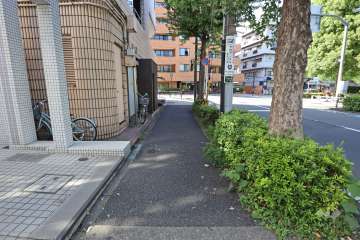 敷地北側の前面道路（東側から）