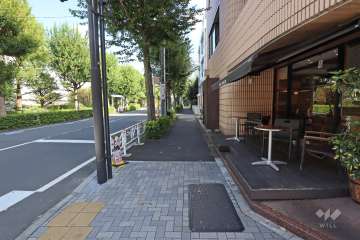 敷地北側の前面道路（西側から）