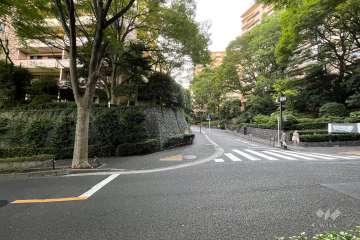 敷地南側の前面道路（東側から）