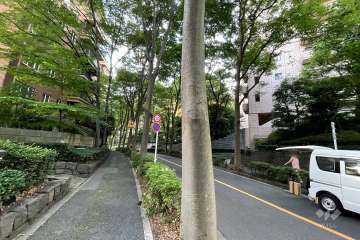 敷地東側の前面道路（北側から）