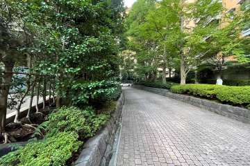敷地西側の前面道路（北側から）