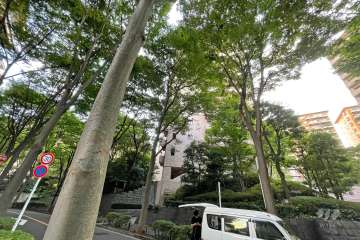 広尾ガーデンヒルズ　センターヒルＧ棟の外観（北東側から）