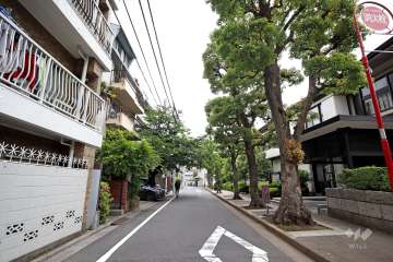 敷地南側の前面道路