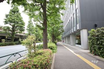 敷地北東側の前面道路