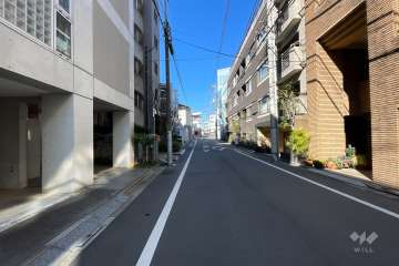 敷地北東側の前面道路（南東側から）