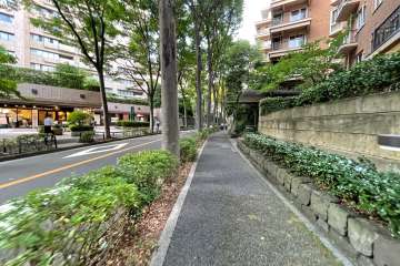 敷地西側の前面道路