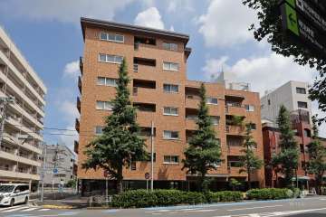 原宿ニュースカイハイツアネックスの外観（南側から）