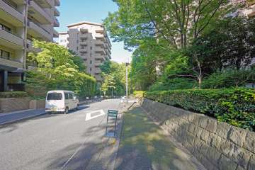 敷地北側の前面道路（西側から）