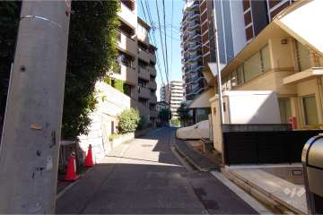 敷地南東側の前面道路（南西側から）