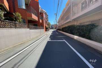 敷地南西側の前面道路（北西側から）