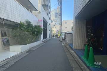 敷地南東側の前面道路（北東側から）