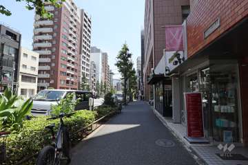 敷地北側の前面道路（東側から）