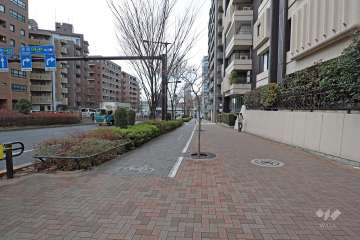 敷地西側の前面道路（南側から）