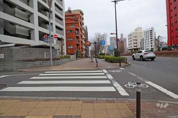 敷地西側の前面道路（北側から）