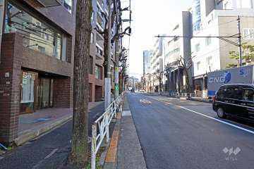 敷地西側の前面道路（北側から）