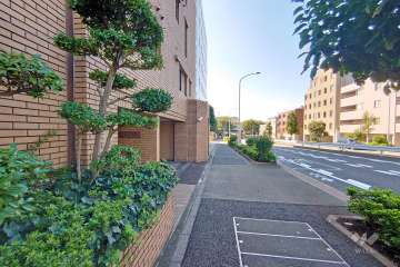 敷地北側の前面道路（東側から）