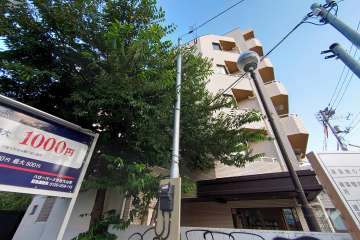 パーセル大山町の外観（北東側から）