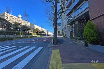 敷地北側の前面道路（西側から）