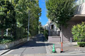 敷地の南東側前面道路（北東側から）