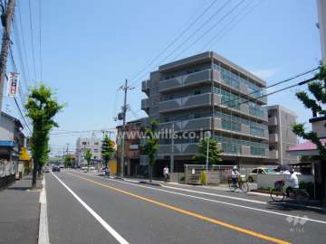 前面道路は街路樹のきれいな通りです