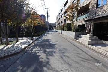 敷地西側の前面道路（北側から）