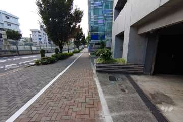 敷地東側の前面道路（北側から）