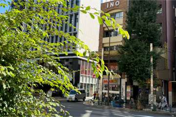 ブラウンヴェセルの外観（北西側から）