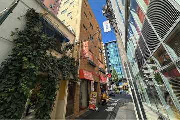 ブラウンヴェセルの外観（南東側から）