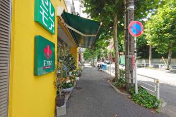 敷地北側の前面道路（東側から）