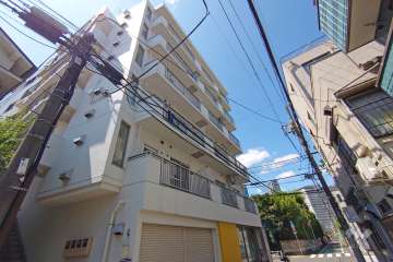 『フラワーマンション（渋谷区）』の外観（南東側から）