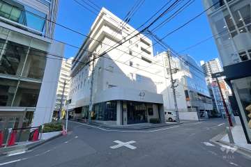 敷地東側と南側の前面道路(南東側から)