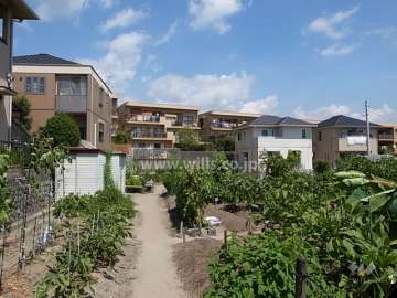 敷地の南側には一戸建てや市民農園などがあります。
