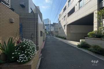 敷地南西側の前面道路（北西側から）　