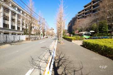 敷地西側の前面道路(南側から)