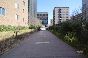 敷地南側の前面通路(西側から)