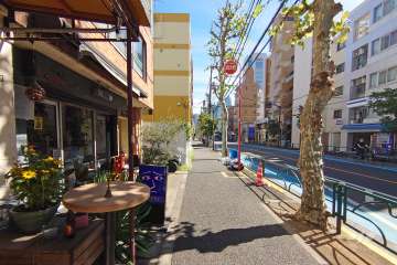 敷地南東側の前面道路