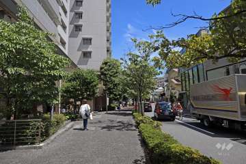 敷地南西側の前面道路（北西側から）